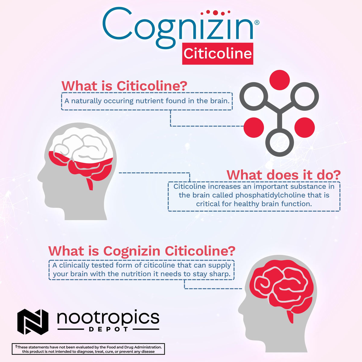 Nootropics Depot Cognizin Citicoline Capsules | 60 Count | Choline Supplement | Brain Health Supplement | Regulates Memory and Cognitive Function | Supports Attention, Focus and Recall Nootropics DepotBuy Supplements Australia