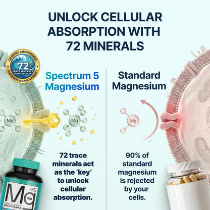 Spectrum 5 Magnesium | 5-in-1 Complex + 72 Trace Minerals for Enhanced Absorption | Irish Sea Sourced | 500mg per Serving SonoHealth canada supplements