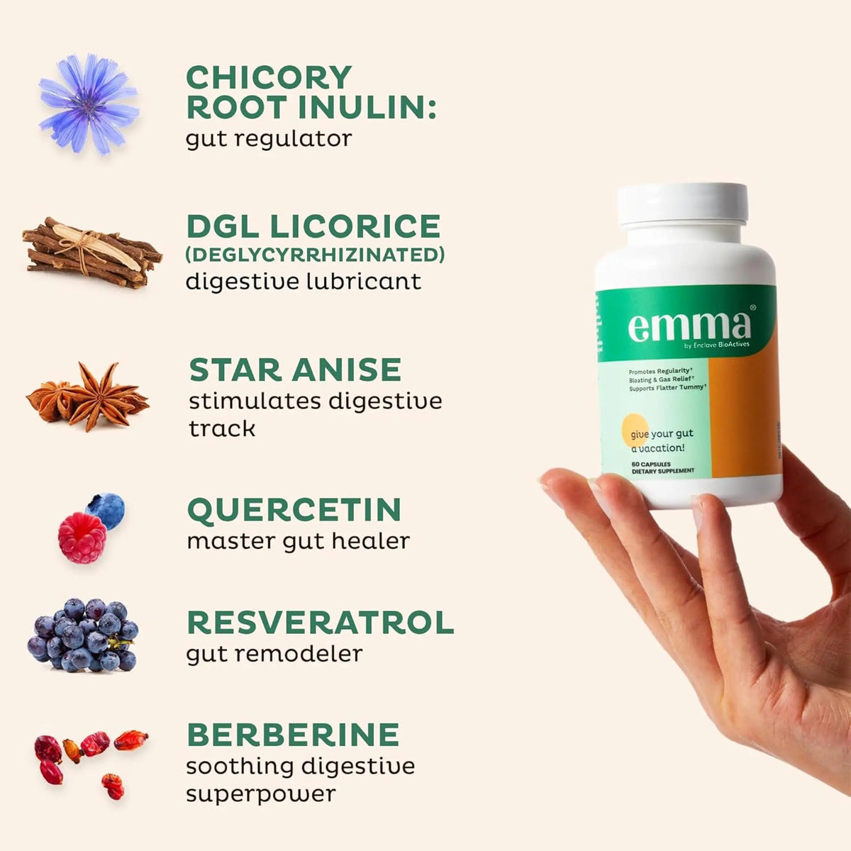 Emma Gut Health - 2 Pack - Gas and Bloating Relief, Constipation, Leaky Gut Repair - Gut Cleanse & Restore Digestion - Regulate Bowel Movement. Probiotics and Laxative Alternative, 120 Capsules EmmaBuy Supplements Australia