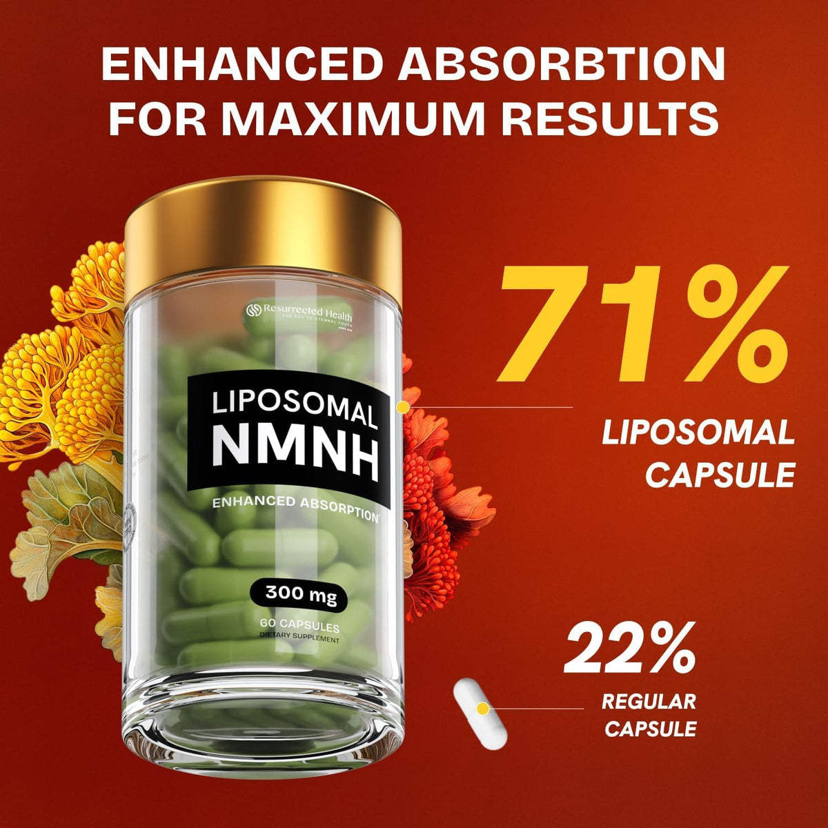 Resurrected Health Liposomal NMNH Supplement 300mg – Boosts NAD Anti-Aging, Energy & Focus – NMM Capsules Alternative to for Cellular Vitality – Third-Party Tested, 60 Vegan Capsules | 1 Pack Resurrected HealthBuy Supplements Australia