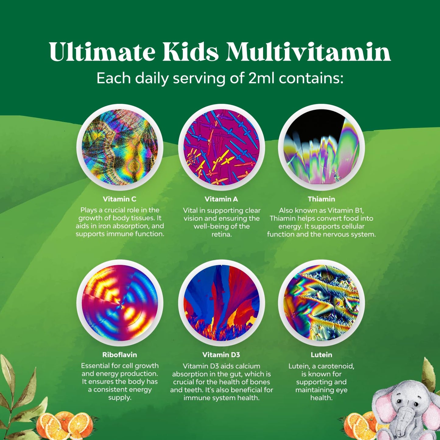 Bundle of Kids DHA Omega 3 Gummies - Fatty Acids Omega 3 6 9 for Brain Immune Strength Vision Focus Support and Liquid Multivitamin for Kids Immunity Support Natures CraftBuy Supplements Australia