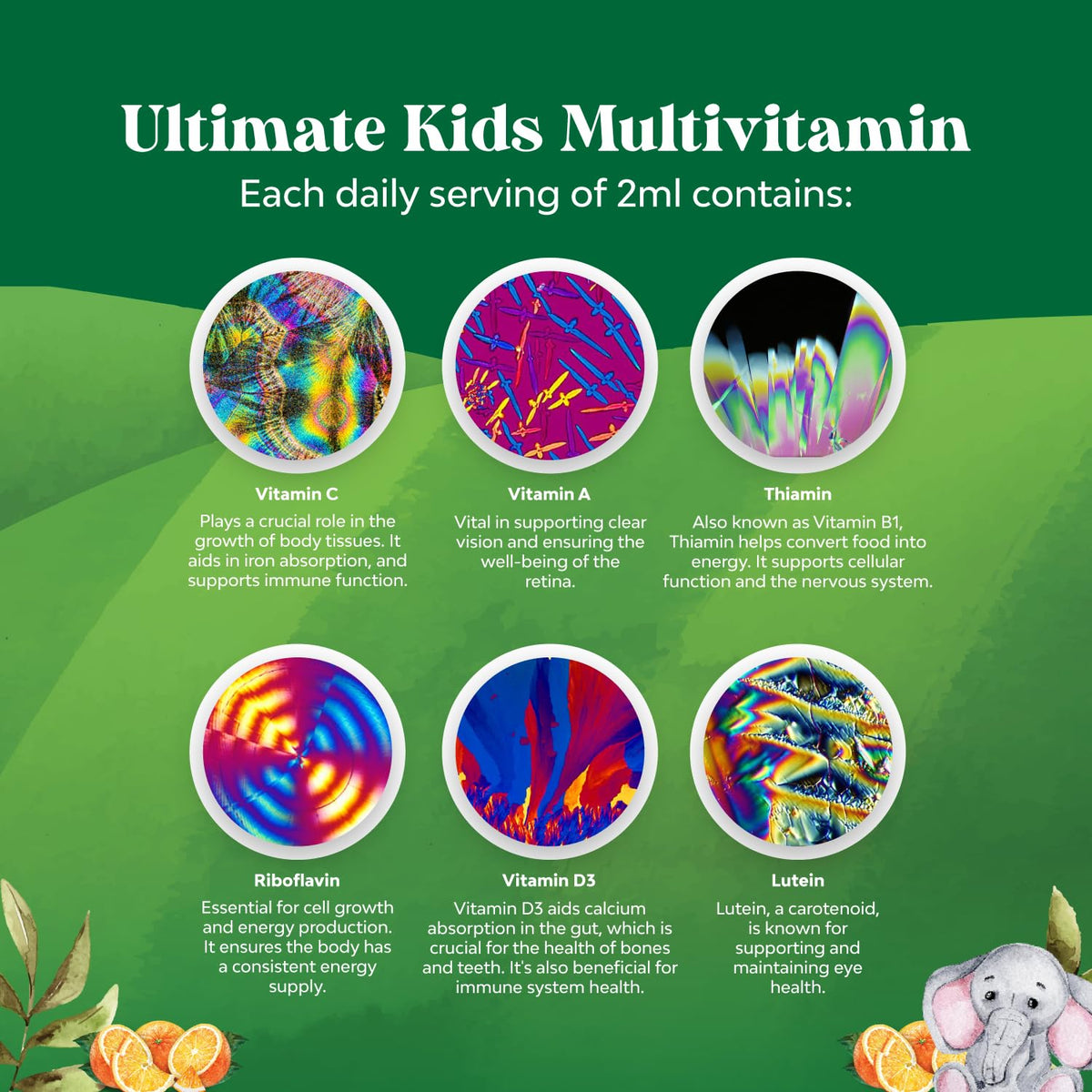 Bundle of Kids DHA Omega 3 Gummies - Fatty Acids Omega 3 6 9 for Brain Immune Strength Vision Focus Support and Liquid Multivitamin for Kids Immunity Support Natures CraftBuy Supplements Australia