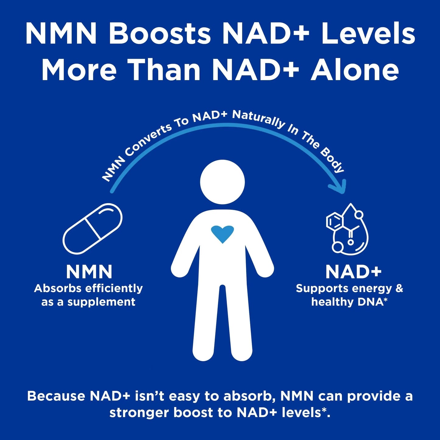 GNC Preventive Nutrition NMN, 150 mg, NAD+ Booster Supplement for Cellular Energy & DNA Repair, Anti-Aging Support, 60 Capsules, Gluten Free, 60 svg GNCBuy Supplements Australia