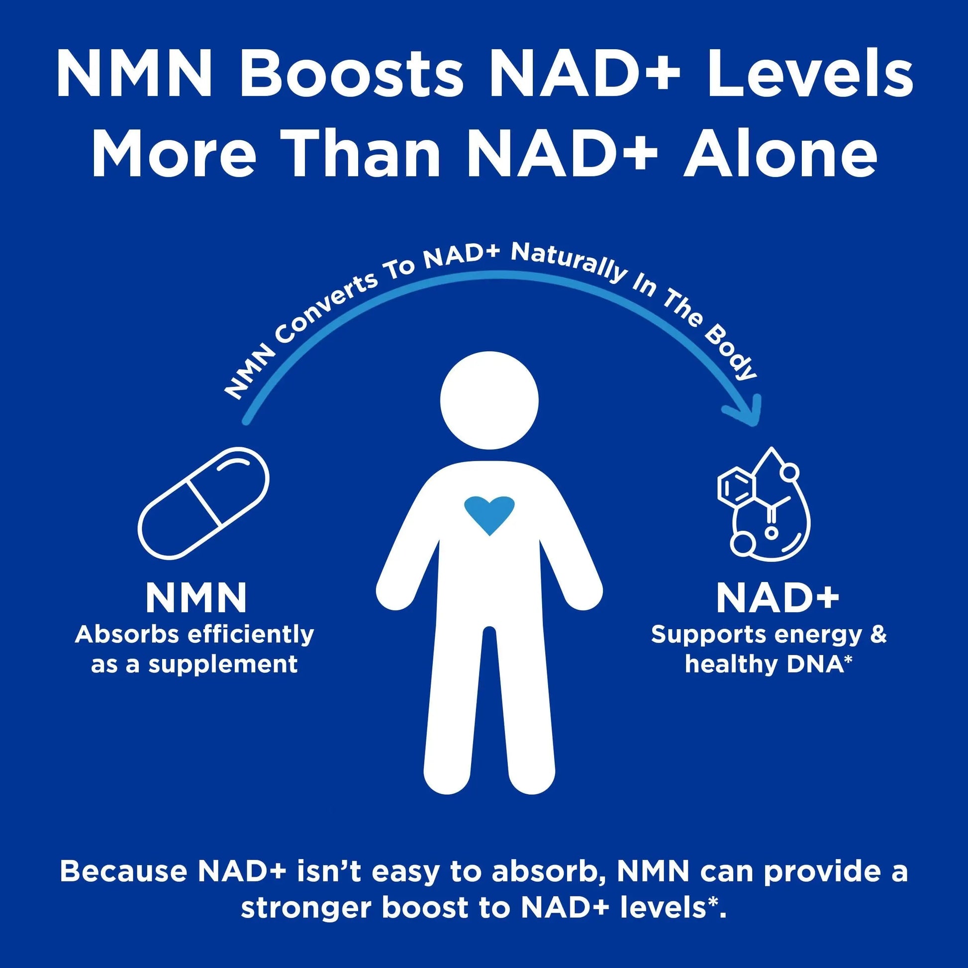 GNC Preventive Nutrition NMN, 150 mg, NAD+ Booster Supplement for Cellular Energy & DNA Repair, Anti-Aging Support, 60 Capsules, Gluten Free, 60 svg GNCBuy Supplements Australia