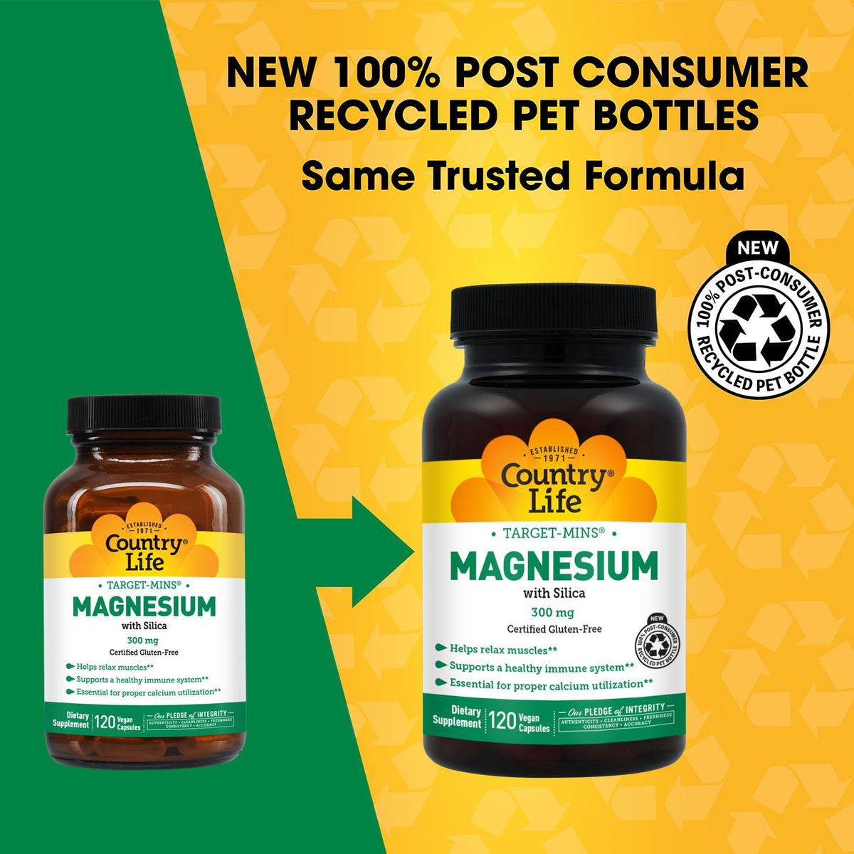 Target-Mins Magnesium with Silica 300 mg 120 Vegetarian Capsules Country LifeBuy Supplements Australia