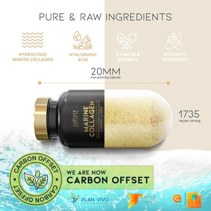 Advanced Marine Collagen Capsules | 1735mg Superfood & Vitamin Boosted Complex for Glowing Hair, Skin & Nails Oxford OrganicsBuy Supplements Australia
