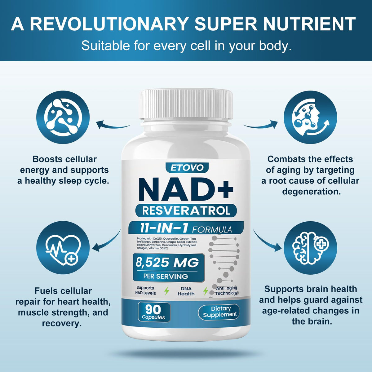 ETOVO NAD+ Supplement, 8525 mg Liposomal NAD Resveratrol Supplement for Women and Men with Coptisine Quercetin Curcumin Supports Cellular Health, Energy & Healthy Anti-Aging 180 Counts ETOVOBuy Supplements Australia