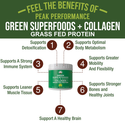 Greens Superfood + Grass Fed Collagen Peptides Powder - Ultimate Blend of Best Tasting Green Superfood with Pure Pasture Raised Hydrolyzed Protein Powder for Skin Hair + Joint Health Peak PerformanceBuy Supplements Australia