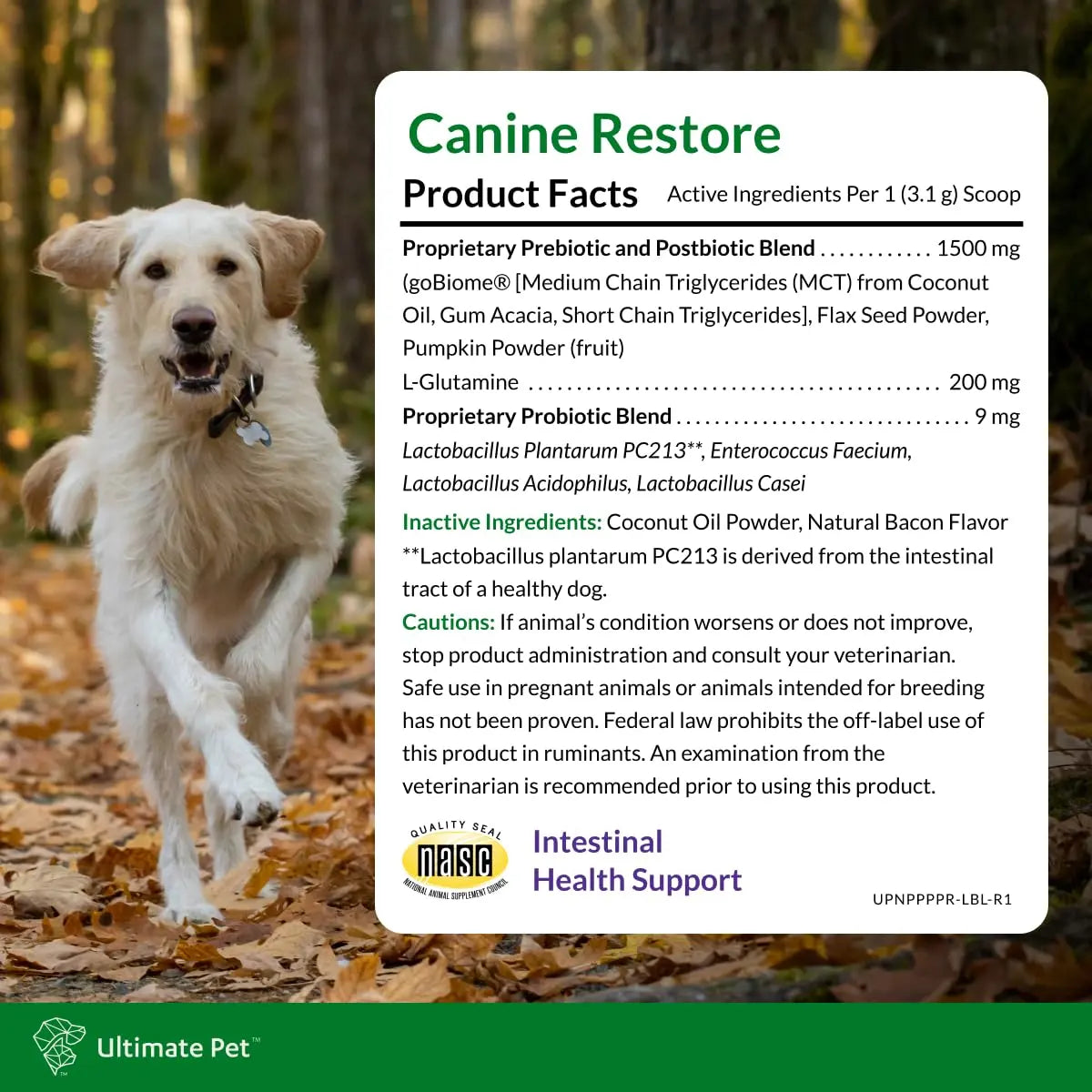Ultimate Pet Nutrition Canine Restore, Gut Health Supplement with Prebiotics, Probiotics, & Postbiotics for Digestive Health & Immunity Support, Vet Formulated Powder Food Topper ULTIMATE PET NUTRITIONBuy Supplements Australia