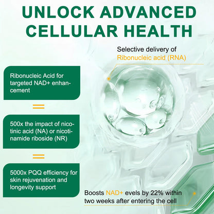 NAD Supplement 120 Capsules, Liposomal Nicotinamide Riboside, Resveratrol, Quercetin, NAD Nicotinamide Riboside Resveratrol 910mg for Women & Men, NAD Supplement for Anti Aging and Cell Regeneration KZUOBuy Supplements Australia