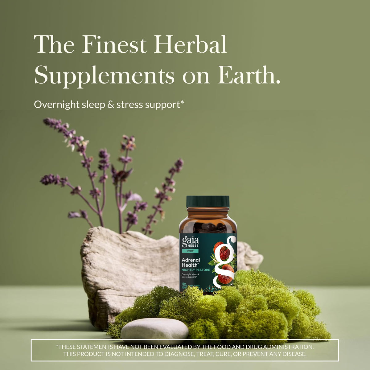 Gaia Herbs Adrenal Health Nightly Restore - Herbal Supplement with Ashwagandha, Magnolia Bark, Cordyceps, Lemon Balm & More* - 60 Vegan Liquid Phyto-Caps (30 Servings) Gaia HerbsBuy Supplements Australia
