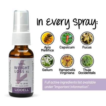 VITL Weight Loss XL Liddell Homeopathic 1 oz Liquid LiddellBuy Supplements Australia
