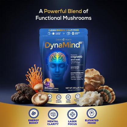 DynaMind iQ Brain Supplement for Memory and Focus for Adults - Nootropic Chews | Coffee Fruit & Mushroom Supplement Blend, Memory Focus Supplement, Caffeine Focus Pills Alternative, 30 Count CHEWSHEALTHBuy Supplements Australia