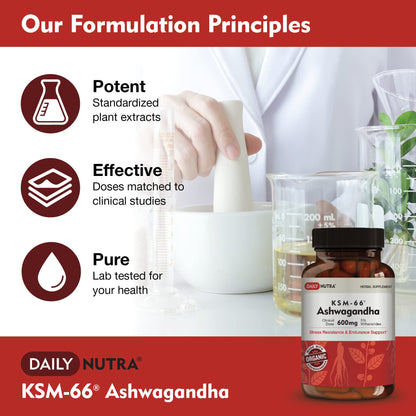 DailyNutra KSM-66 Ashwagandha 600mg Organic Root Extract - High Potency Supplement with 5% Withanolides | Relieves Tiredness, Supports Relaxation, Focus, Energy, & Muscle Growth (90 Capsules) DailyNutraBuy Supplements Australia