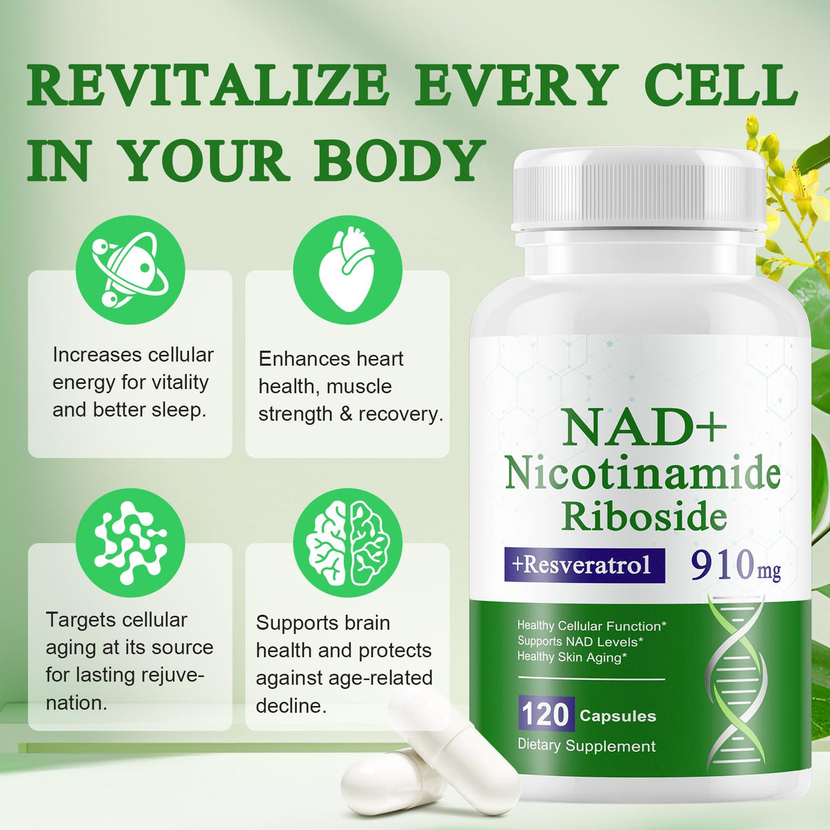 A r b c r n 120 Capsules NAD+ Supplement,NAD Nicotinamide Riboside Resveratrol 910mg for Men and Women, NR Supplement for Energy Anti-Aging Focus A r b c r nBuy Supplements Australia