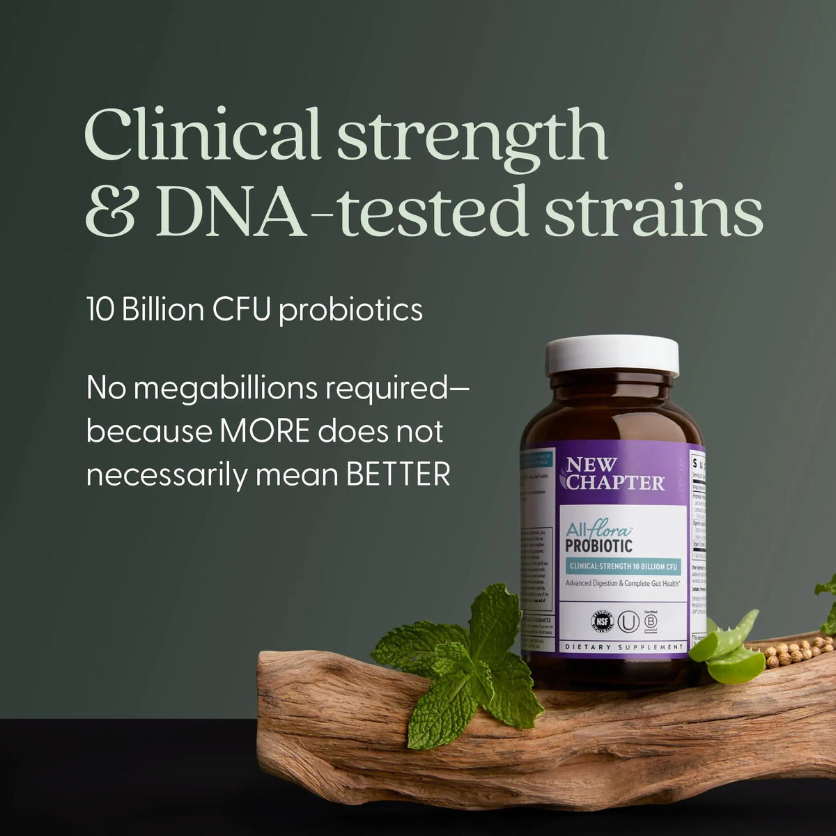 New Chapter All-Flora Probiotic for Advanced Digestion & Complete Gut Health with Prebiotics + Postbiotics, Clinical-Strength Strains, 100% Vegetarian, Non-GMO, Shelf Stable - 60 ct (2 Month Supply) New ChapterBuy Supplements Australia