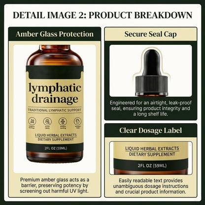 Lymphoria Lymphatic Drainage Drops, Lymphatic System Support, Immune System, Vegan & Non-GMO, Natural Herbal Blends (59ML/2FL.OZ) Gloramd Serum buy supplements Au