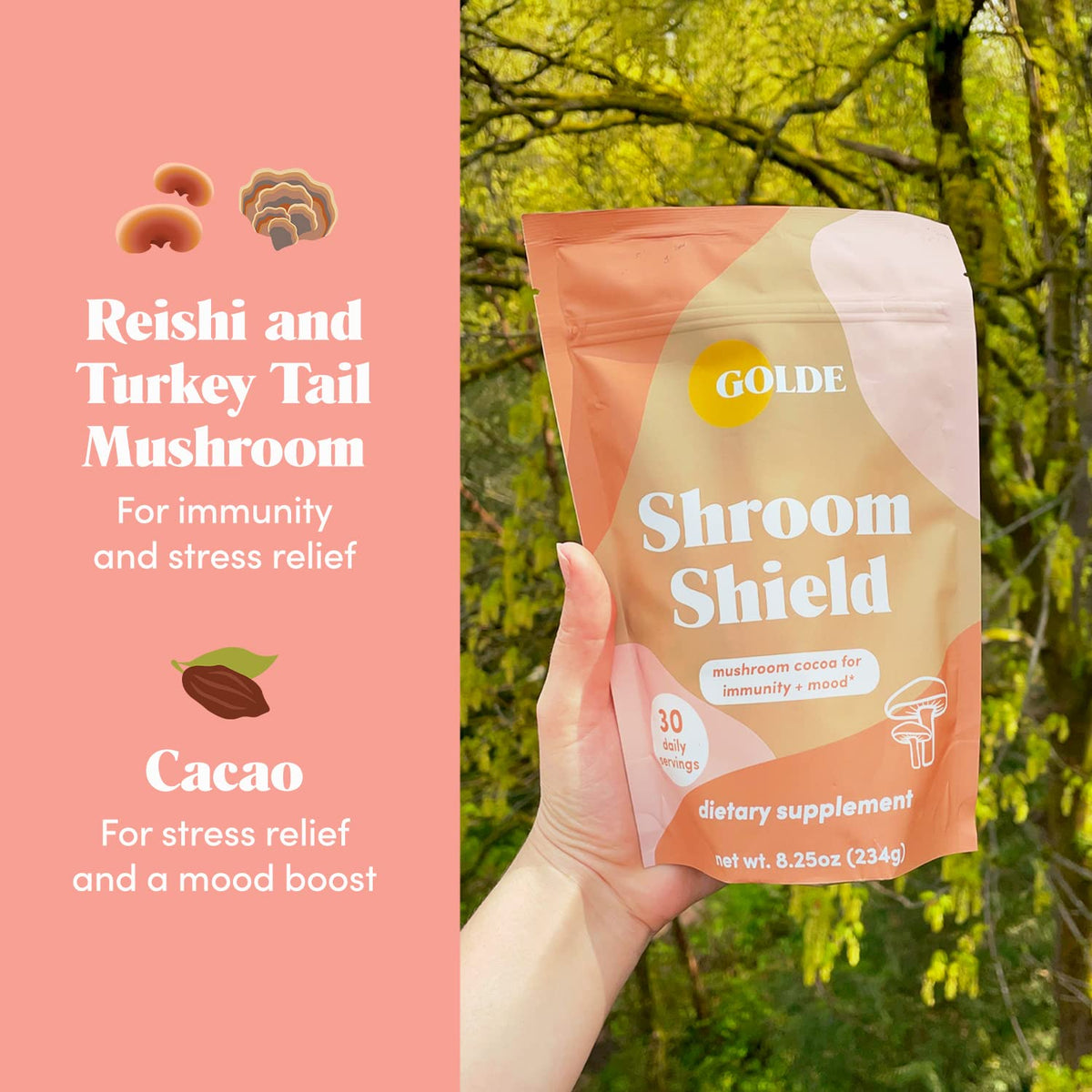 GOLDE Shroom Shield - Plant Based Superfood Blend w/Turkey Tail Mushroom & Reishi Mushroom Extract - Stress Defense - Antioxidants & Prebiotics - Vegan, Keto, & Sugar-Free Hot Cocoa - 30 Servings GOLDEBuy Supplements Australia