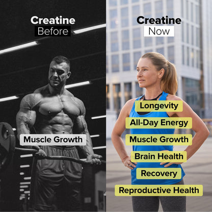 Complement Creatine Monohydrate Micronized Powder for Women and Men (5g, 60 Servings) Pre Workout, Post Workout, Muscle Recovery, Brain Health, Longevity- Vegan, Unflavored ComplementBuy Supplements Australia