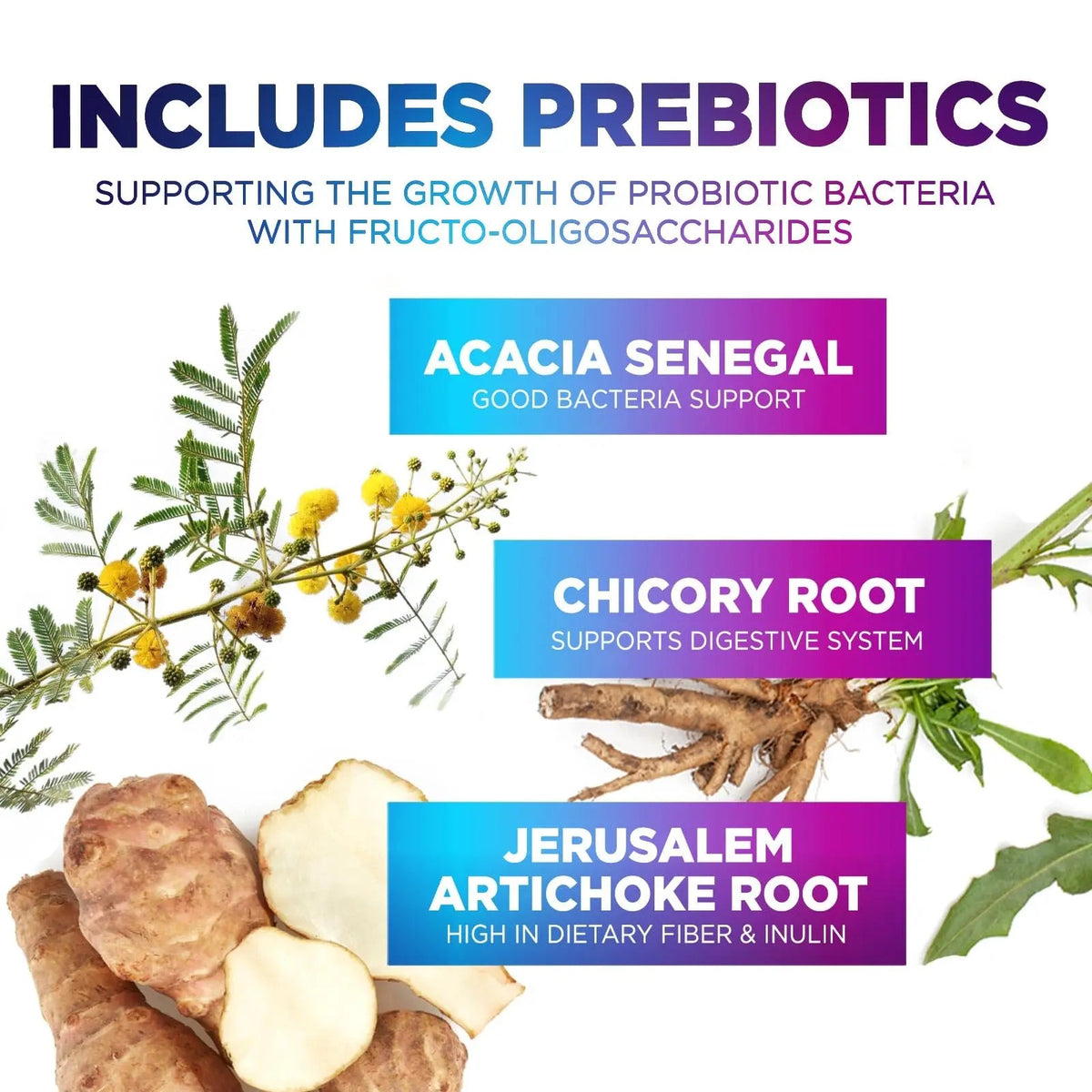 Probiotics 60 Billion CFU - 10 Strains + Digestive Enzymes & Prebiotics - Best Probiotic for Women & Men, Supports Immune, Gut Health, Occasional Constipation, Diarrhea, Gas & Bloating - 60 Capsules Nature's PeakBuy Supplements Australia