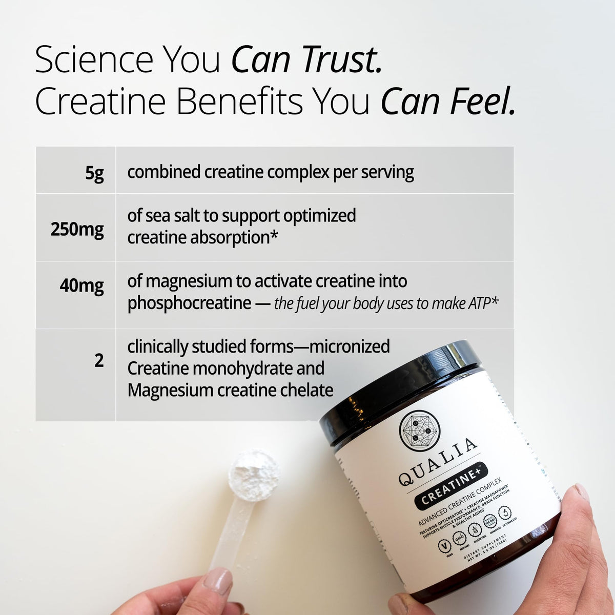 Qualia Creatine | Advanced Creatine Complex | 2 Sources + Magnesium | Optimized Absorption | Muscle Performance, Brain Function, & Healthy Aging (30 Servings) QUALIA LIFE SCIENCESBuy Supplements Australia