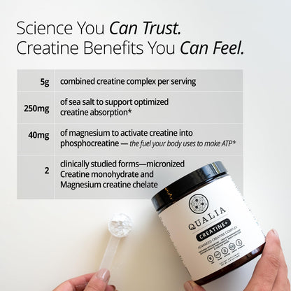 Qualia Creatine | Advanced Creatine Complex | 2 Sources + Magnesium | Optimized Absorption | Muscle Performance, Brain Function, & Healthy Aging (30 Servings) QUALIA LIFE SCIENCESBuy Supplements Australia