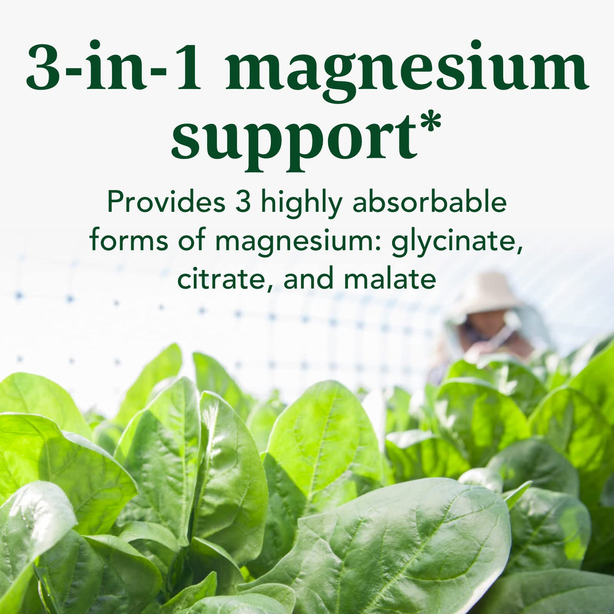 INNATE Response Formulas Magnesium 300 mg - Mineral Supplement for Muscle Relaxation - Vegetarian and Gluten-Free - 120 Capsules (60 Servings) INNATE Response FormulasBuy Supplements Australia