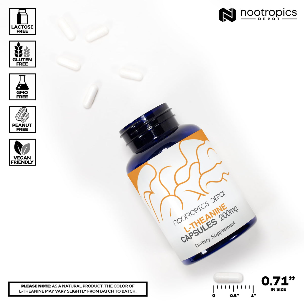 Nootropics Depot L-Theanine Capsules 200mg (180 Count) | Promotes Relaxation | Supports Healthy Stress Levels + Sleep Cycles | Promotes Cognitive Function + Focus | Amino Acid Supplement Nootropics DepotBuy Supplements Australia