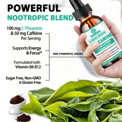 L Theanine Caffeine Liquid Drops, High Potency L-Theanine 100mg w. Caffeine Vitamin B12 B6, Natural Nootropic Brain for Smooth Energy Focus Alertness, 6X Stronger Than Pills Powder Gum WellVeraVidaBuy Supplements Australia