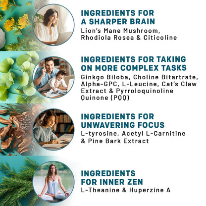 14-in-1 Lions Mane Supplement Capsules - Nootropic Brain Supplement with Ginkgo Biloba for Brain Support, Memory and Focus - Alpha GPC, L Theanine & Choline Supplements with 1300mg Per Serving (60 ct) PrimeMDBuy Supplements Australia