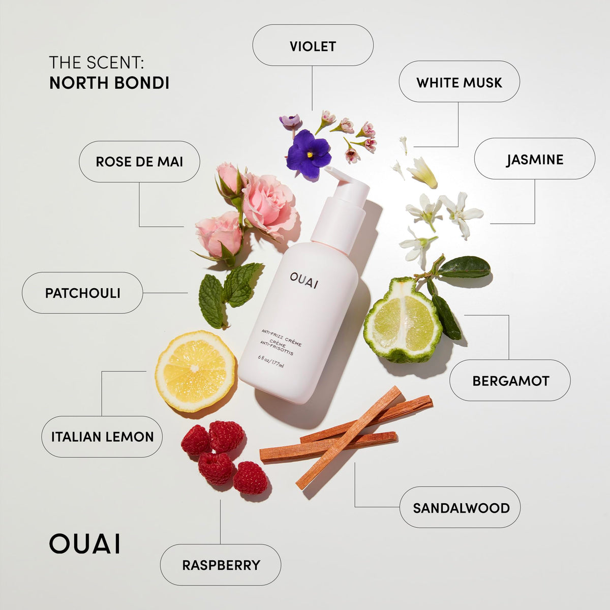 OUAI Anti Frizz Cream - Moisturizing Hair Cream with Frizz Control & Heat Protection - Provides Lasting Hydration with Jackfruit & Beetroot Extract - Paraben, Phthalate & Sulfate Free (6 oz) OUAIBuy Supplements Australia