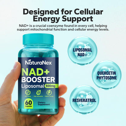 NaturaNex NAD+ Supplement 650mg (60 Capsules), Liposomal NAD+ with Resveratrol & Quercetin, Third-Party Tested, NMN Supplement Alternative NaturaNexBuy Supplements Australia