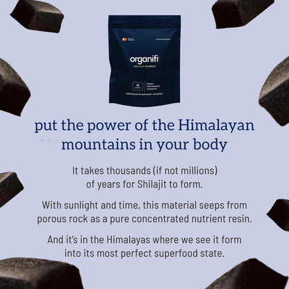 Organifi - Shilajit Gummies - Supports Natural Energy and Strength - Vanilla Cinnamon OrganifiBuy Supplements Australia