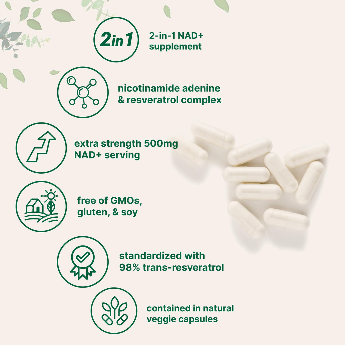 Micro Ingredients NAD+ 500mg with Resveratrol, 240 Veggie Capsules | 2-in-1 NAD Supplement for Women & Men | NMN Pathway Alternative | Non-GMO, Gluten Free Micro IngredientsBuy Supplements Australia