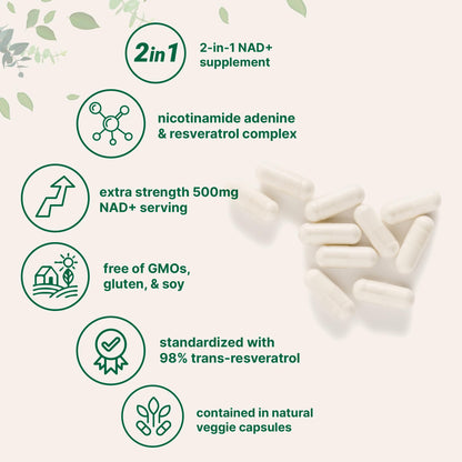 Micro Ingredients NAD+ 500mg with Resveratrol, 240 Veggie Capsules | 2-in-1 NAD Supplement for Women & Men | NMN Pathway Alternative | Non-GMO, Gluten Free Micro IngredientsBuy Supplements Australia