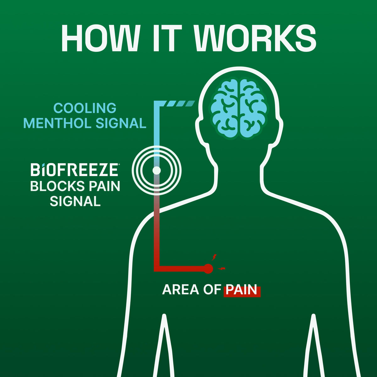 Biofreeze Pain Relief Cream for Knee, Neck, Hip, Joint, Shoulder, & Simple Backache, Arthritis Pain Reliever, Sore Muscle Relief, Cooling Menthol Pain Cream, 3 Oz BiofreezeBuy Supplements Australia