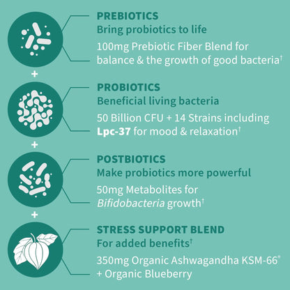 Garden of Life Dr. Formulated Pre, Post & Probiotics Calm 50 Billion CFU Daily 3-in-1 Complete Supplement with Ashwagandha – Mood Support, Digestive & Immune Support, 30 Vegetarian Capsules Garden of LifeBuy Supplements Australia
