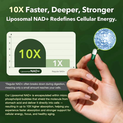 Nad Resveratrol Supplement 61800mg Per Bottle – Liposomal Nad+ Resveratrol for Women & Men – High Purity 1200mg Nad+ Supplement for Energy & Healthy Aging, Resveratrol, Quercetin, CoQ10 – 90 Counts VCBIRDBuy Supplements Australia