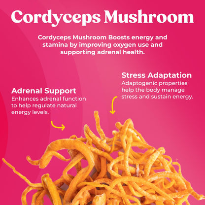 Fungiments Super Bouncy Mushroom Supplement – Cordyceps Focus Capsules for Adults – Natural Brain Boost, Green Tea Energy Vitamins Without jitters, Stamina for Women, Fatigue Support – 60 Count FungimentsBuy Supplements Australia