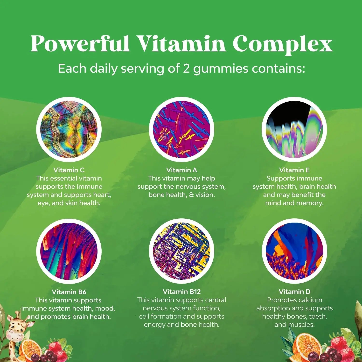 Bundle of Plant Based Kids Multivitamin Gummies with Vitamins A C D3 E B Zinc and DHA Omega 3 Gummies with Vegetarian 6 9 for Vision Brain Immunity Support Natures CraftBuy Supplements Australia