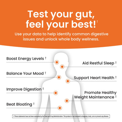 Ombre Gut Health Test Kit - Probiotic Recommender at Home Test for Women & Men - Detailed Custom Gut Microbiome Analysis for Digestive, Immune and Mental Health with Food Suggestions OmbreBuy Supplements Australia