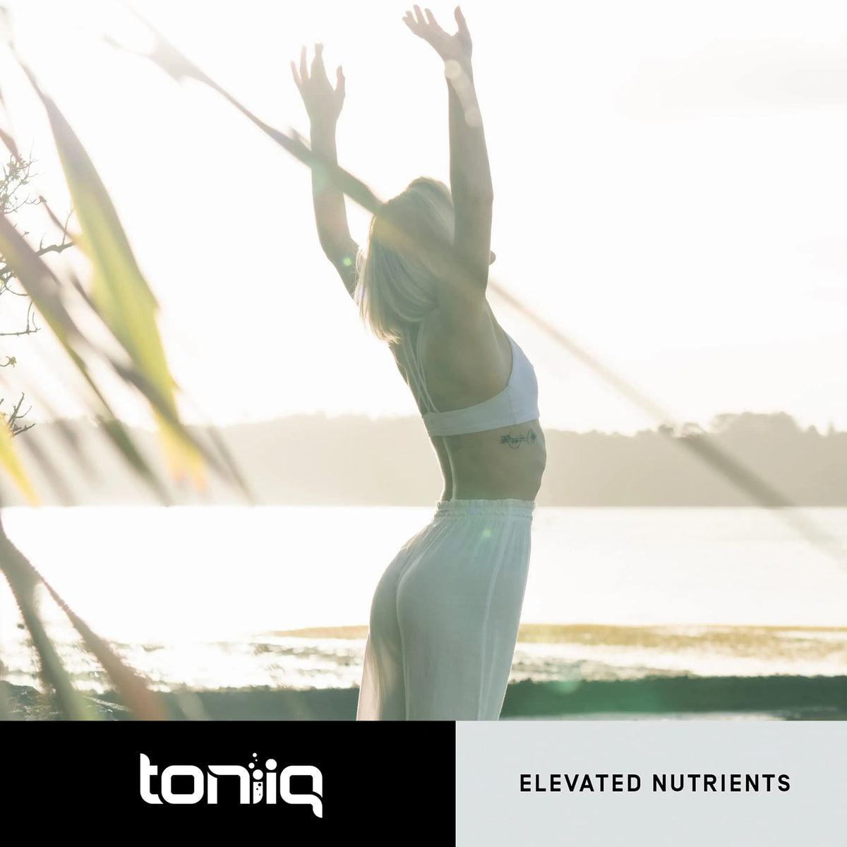Toniiq Ultra High Purity Fisetin 500mg - 98%+ Higly Purified & Bioavailable Fisetin Supplement with MCT Oil for Absorption - Third-Party Tested Senolytic Supplements for Aging Support - 60 Capsules Toniiq buy supplements Au