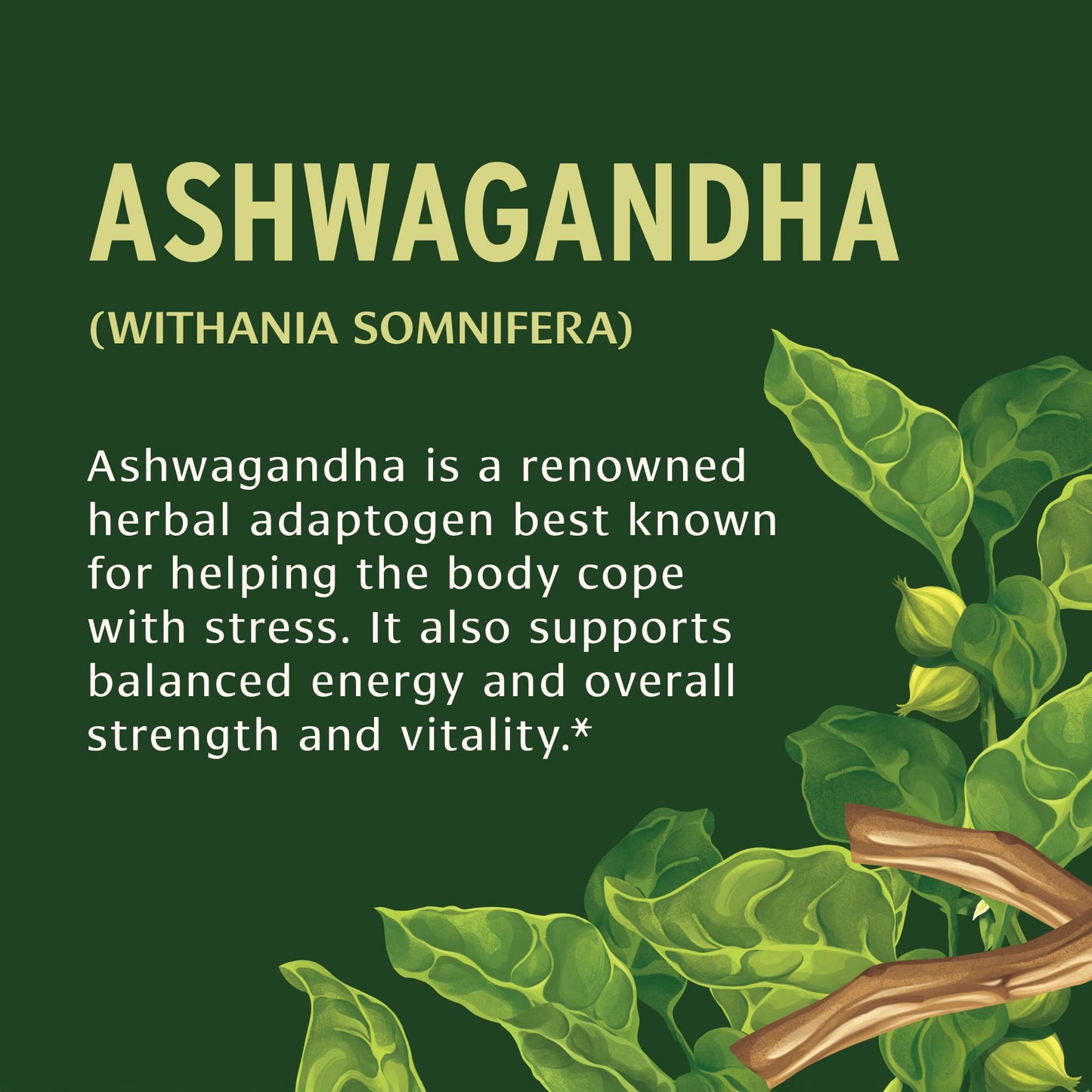 Banyan Botanicals Organic Ashwagandha - 1000mg per Serving - Cortisol Manager & Stress Relief Supplement - Adrenal Support for Mood, Restful Sleep & Muscle Recovery - 180 Tablets - Non-GMO, Vegan* Banyan BotanicalsBuy Supplements Australia