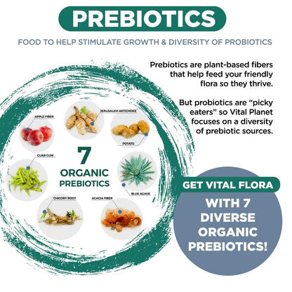 Vital Planet - Vital Flora Ultra Daily Probiotic 60 Billion CFU, Diverse Strains, Organic Prebiotics, Immune Support, Bloating Relief, Digestive Health Probiotics for Women and Men 60 Capsules Vital Planet buy supplements Au