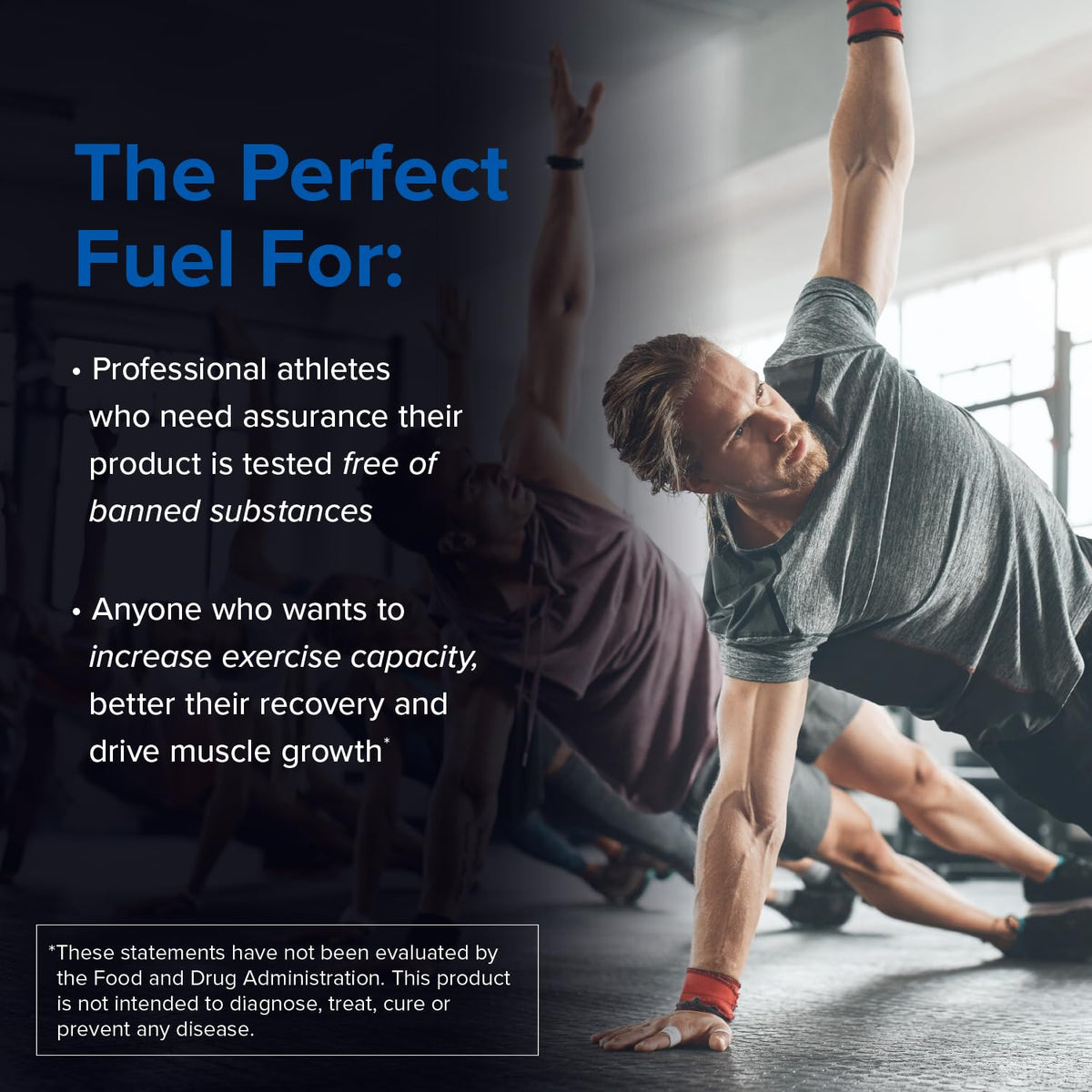 Designs for Sport Creatine Monohydrate Powder - NSF Certified for Sport Creatine Designs for SportBuy Supplements Australia