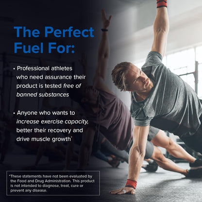 Designs for Sport Creatine Monohydrate Powder - NSF Certified for Sport Creatine Designs for SportBuy Supplements Australia
