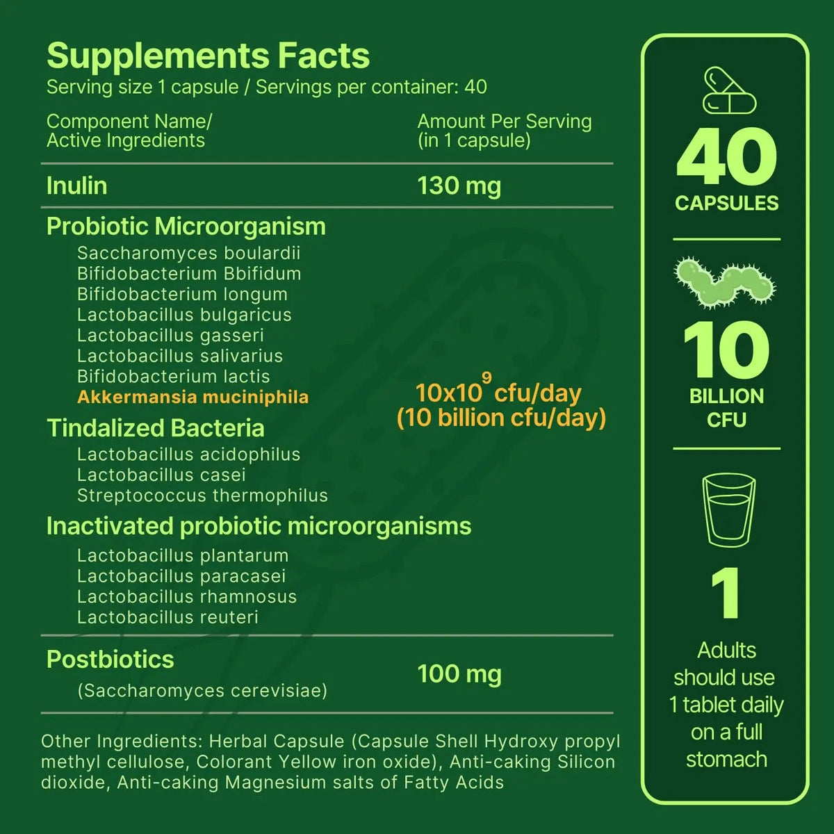 anocin Akkermansia Muciniphila + Probiotic, Postbiotic & Inulin - Gut Health Supplement for Digestion, Immune Support - 10 Billion CFU, Vegan & Gluten-Free anocinBuy Supplements Australia