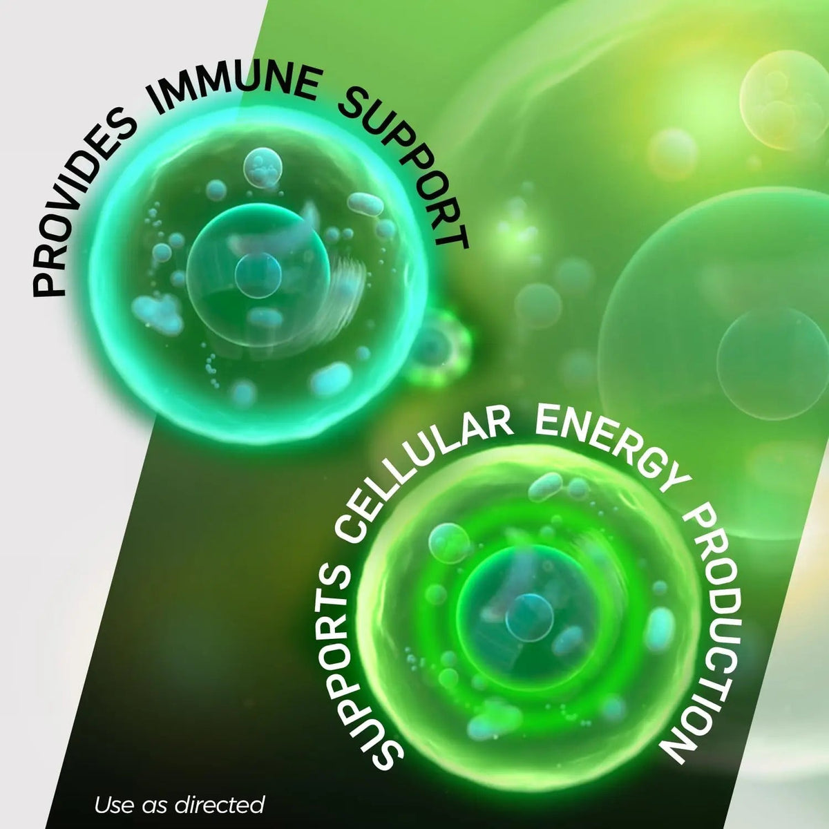 Shot B Multivitamin Complex, B-Energy, Vitamin B Complex with Antioxidant Support, B Complex Vitamins with A, C, D, E & Folic Acid Shot B