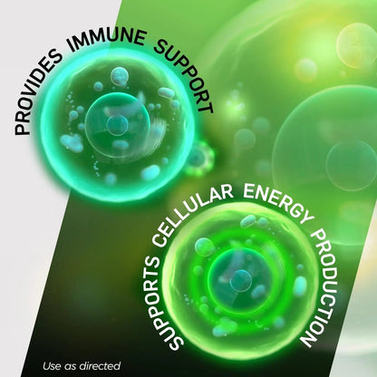 Shot B Multivitamin Complex, B-Energy, Vitamin B Complex with Antioxidant Support, B Complex Vitamins with A, C, D, E & Folic Acid Shot B