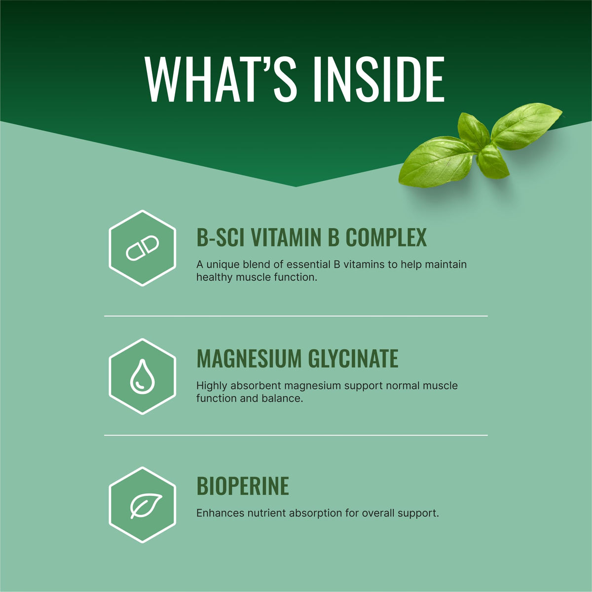 Approved Science Cramprin - High Absorption Magnesium, Vitamin B Complex, BioPerine - Muscle Cramps - 6 Month Supply - 2 Bottles - Vegan Approved ScienceBuy Supplements Australia